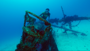 Ultimate Freedive: Great Barrier Reef