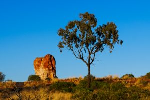 Larapinta