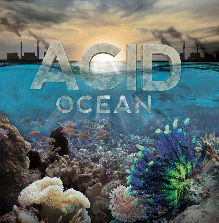 Acid Ocean – LGI Media
