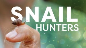 Snail Hunters