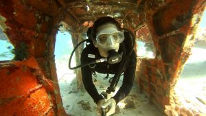 Bluewater Safari - Season 2