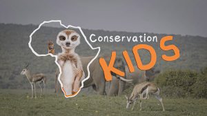 Conservation Kids